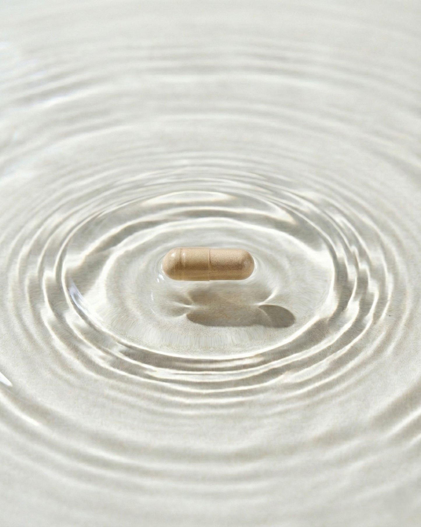 Ginkgo Biloba B+ — Focus & Mental Clarity Support