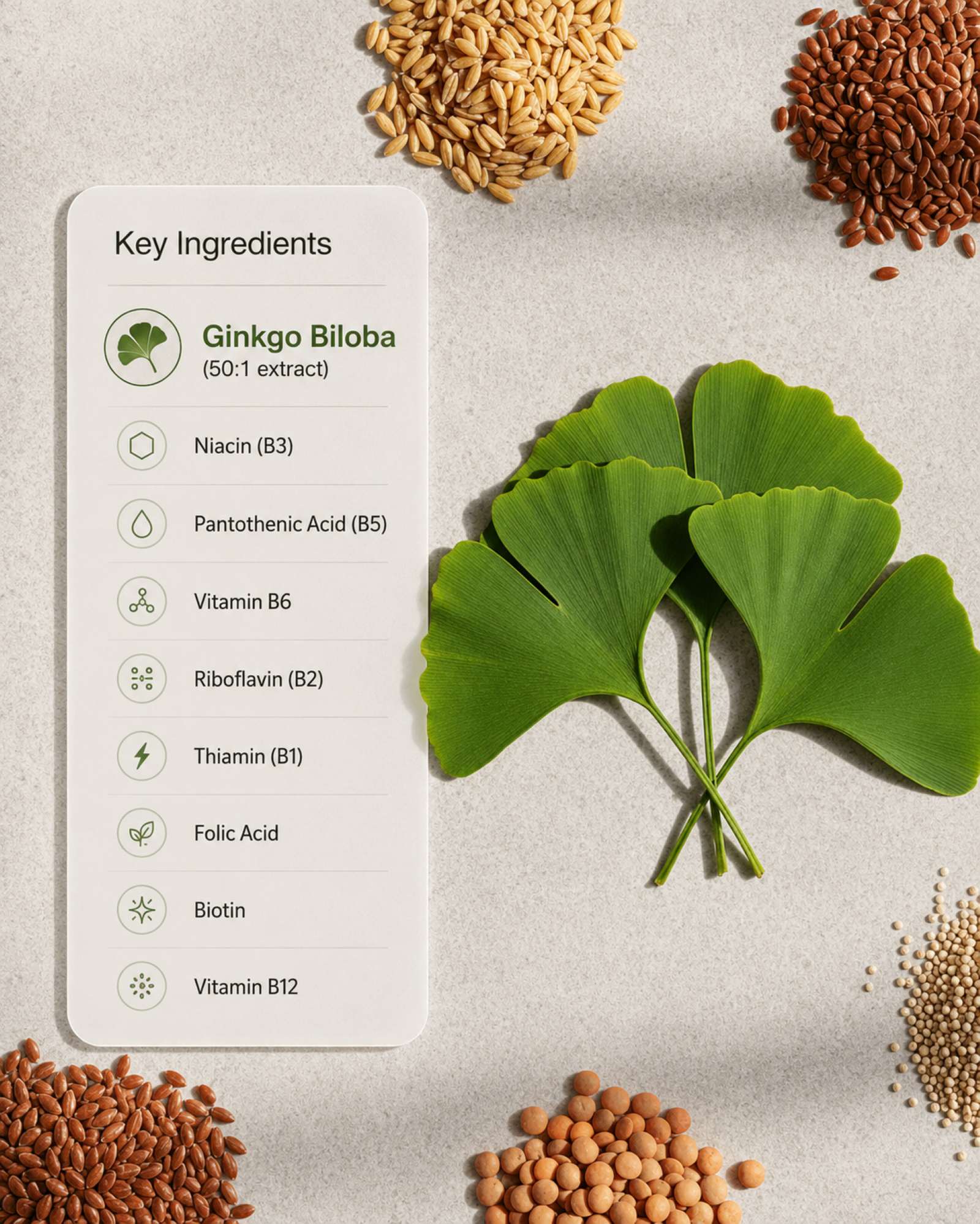 Key ingredients of a supplement with ginkgo biloba leaves and seeds on a light background