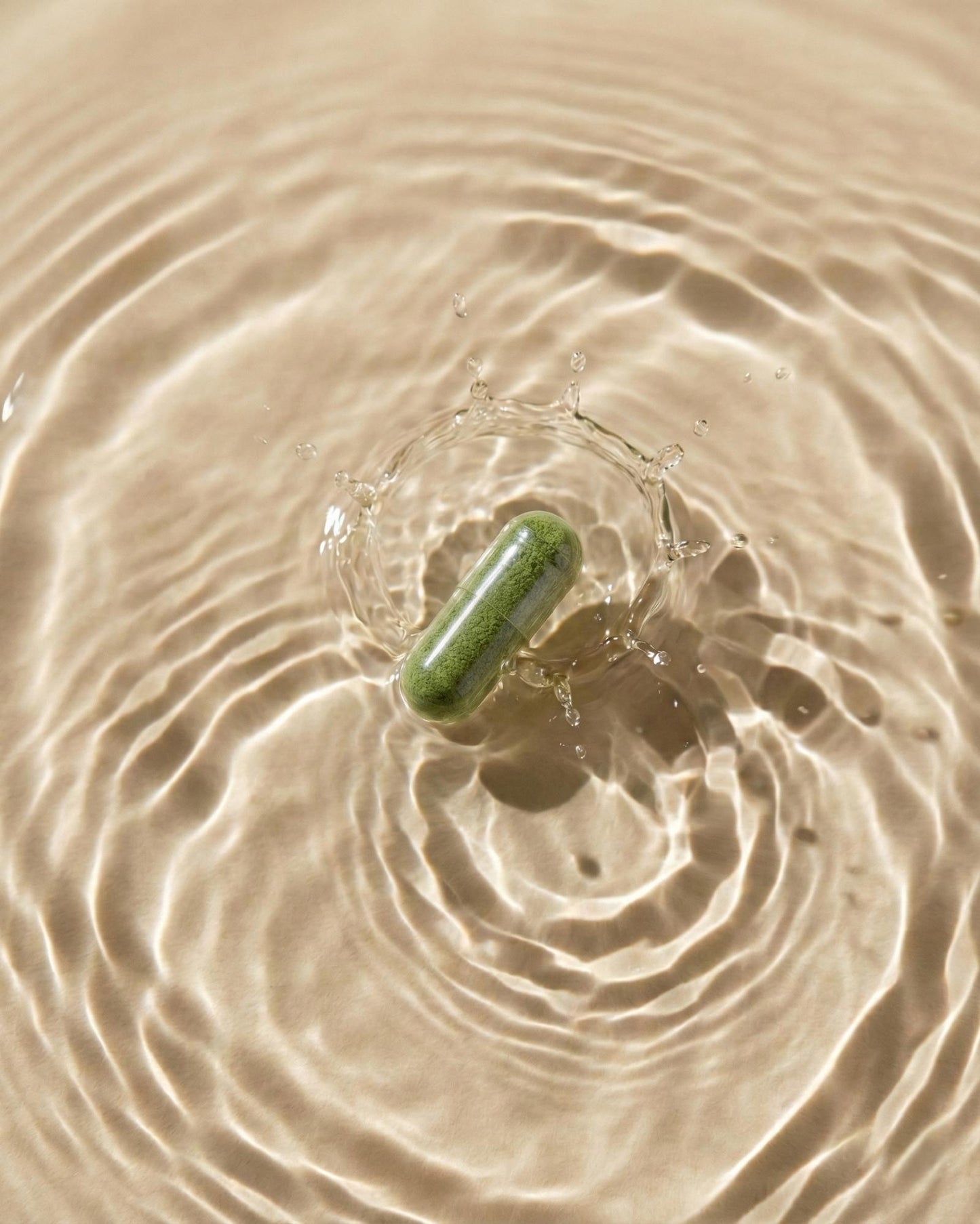 Lion’s Mane Extract — Focus & Clarity Support