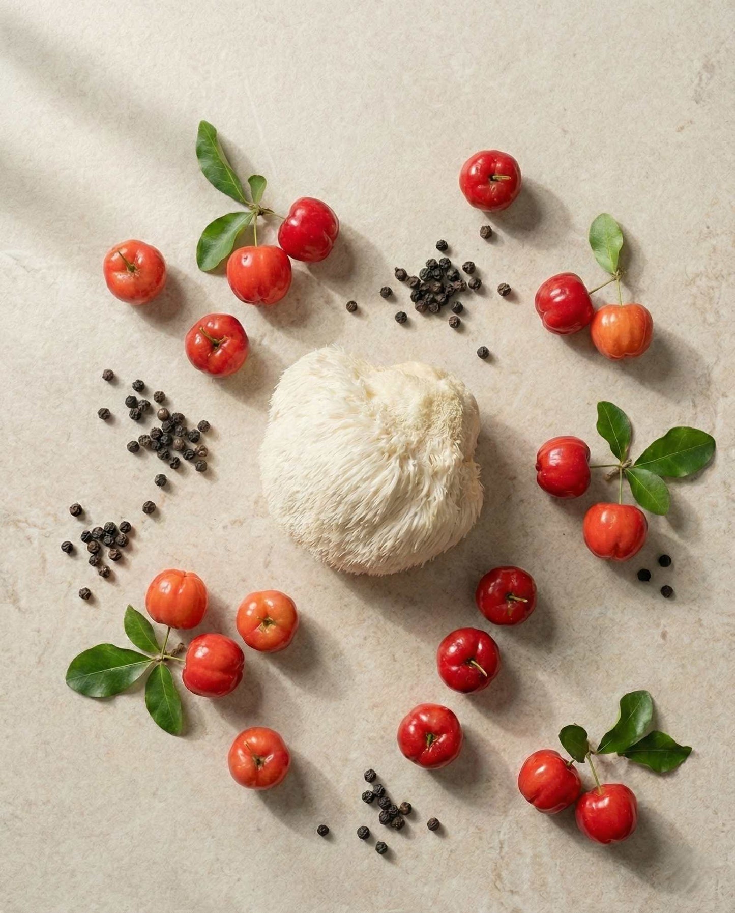 Lion’s Mane Extract — Focus & Clarity Support