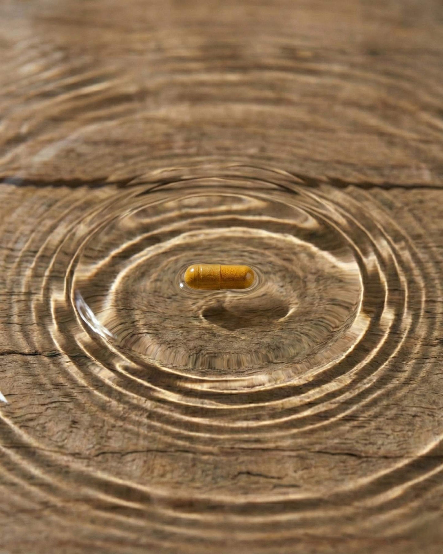 Turmeric Extract — Joint Comfort & Mobility Support